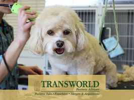 Upscale Pet Grooming Business For Sale Business For Sale In Not Disclosed Fl
