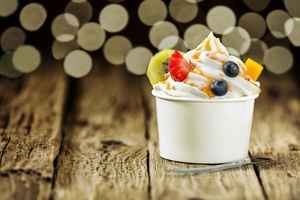 Independently Owned Frozen Yogurt Retail Sales