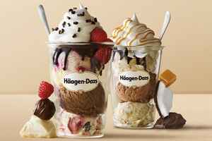 haagen-dazs-in-a-ny-mall-for-sale-new-york