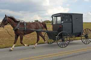 Touring Company Showcasing the Lancaster Amish