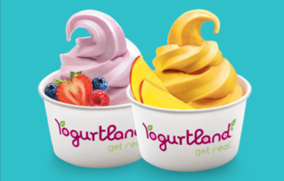 yogurtland-franchise-resale-los-angeles-california