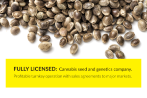 fully-licensed-cannabis-seed-and-genetics-co-okanagan-british-columbia