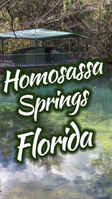 patio-bar-restaurant-with-property-for-sale-homosassa-springs-florida