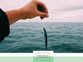 Fishing Accessory Business - 98007