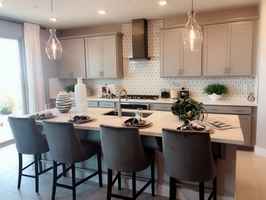 Highly profitable kitchen design&assembly business