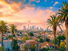 chiropractic-practice-for-sale-in-los-angeles-california