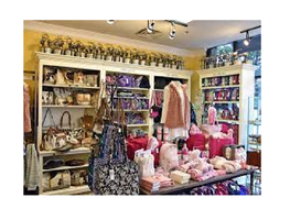 Nice Profitable Gift Boutique - Gwinnett County