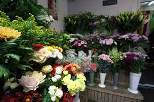 flower-shop-garden-center-for-sale-iowa
