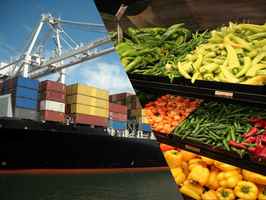 international-produce-and-meat-exporter-florida