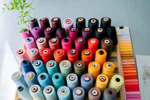 Embroidery Business In Gregg County Business For Sale In Not Disclosed Tx