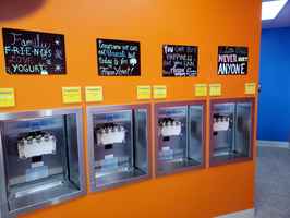 2 Self-Serve Frozen Yogurt Shops