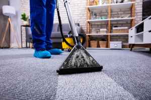 Profitable Carpet Cleaning/Repair Business