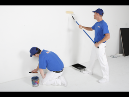 Annapolis MD: Well Established Painting Svcs.