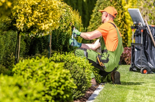 landscaping-business-canton-ohio
