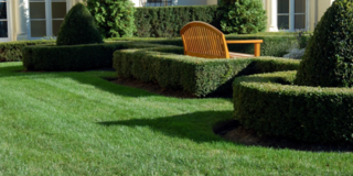 landscaping-service-for-sale-in-michigan