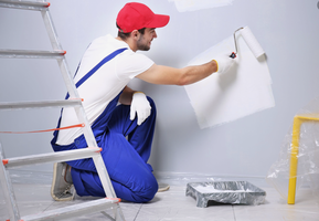 Established Painting Business: Columbus OH