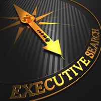 Highly Profitable - Executive Placement Firm