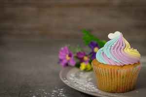 custom-cake-and-cupcake-bakery-for-sale-boise-idaho