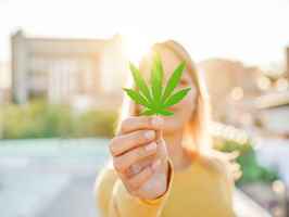 cannabis-delivery-service-business-california