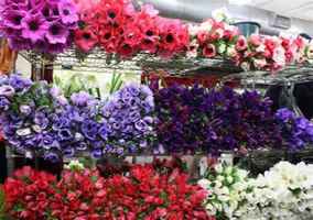 Wholesale Floral Business