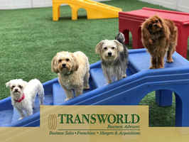 pet-daycare-spa-boarding-duval-county-florida