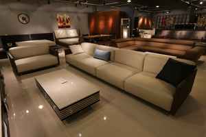 Premier Furniture and Home Store Business