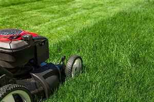 Extremely Busy Lawn Equipment Sales, Repair
