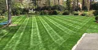 Residential Landscaping Firm in Richmond, Virginia