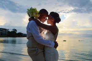 hawaii-beach-wedding-planner-for-sale