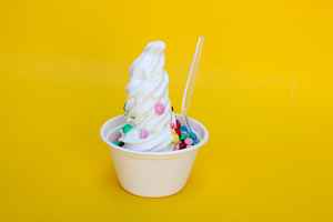 frozen-yogurt-shop-for-sale-in-colorado