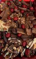gourmet-chocolate-and-sweet-confections-minnesota