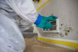 mold-testing-and-remediation-company-for-sale-in-missouri