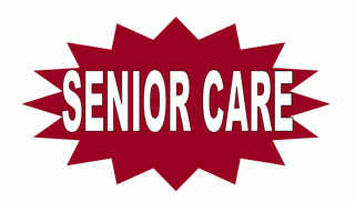 Well-Established Senior Care, 41% ROI