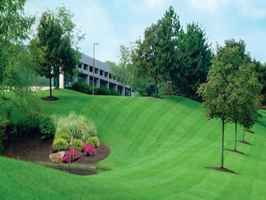 Highly Profitable Triad Commercial Landscaping
