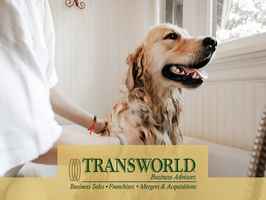 Upscale Full-Service Dog Grooming Spa