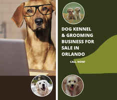 Dog Kennel & Grooming Business For Sale in Orlando