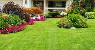 Successful Lawn & Landscaping Company