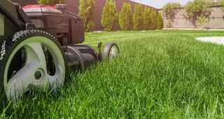 Profitable Lawn Company with Good Employees
