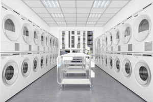 Unattended Self Serve Laundry Biz - NH