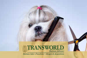 Pet Grooming for Pet Lovers with Great Income