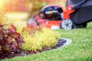 Lawn & Landscaping Company in Upscale Community