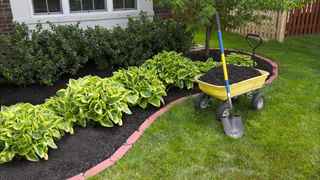 Money making Landscaping & Snow Removal Business