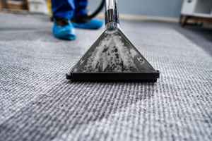 HomeBased Carpet Cleaning Company of 27 Years