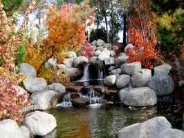 Water Garden, Pond Feature Center & Supply Company