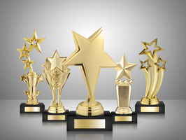 Established Trophy & Awards- Lite Mfg Business