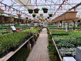 Turnkey Greenhouse & Landscaping Business in SD!