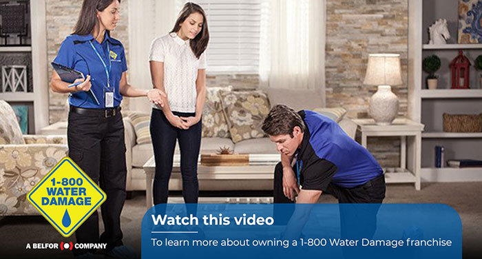 1-800 WATER DAMAGE Video